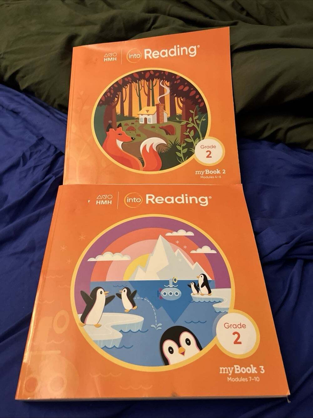 HMH Into Reading Grade 2 Student MyBook Modules 4-10 2000 Workbook Work Book NEW